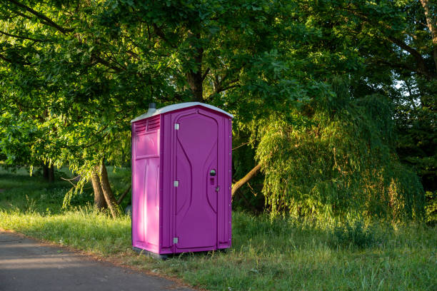 Best Local porta potty services  in Mountain Lake, MN